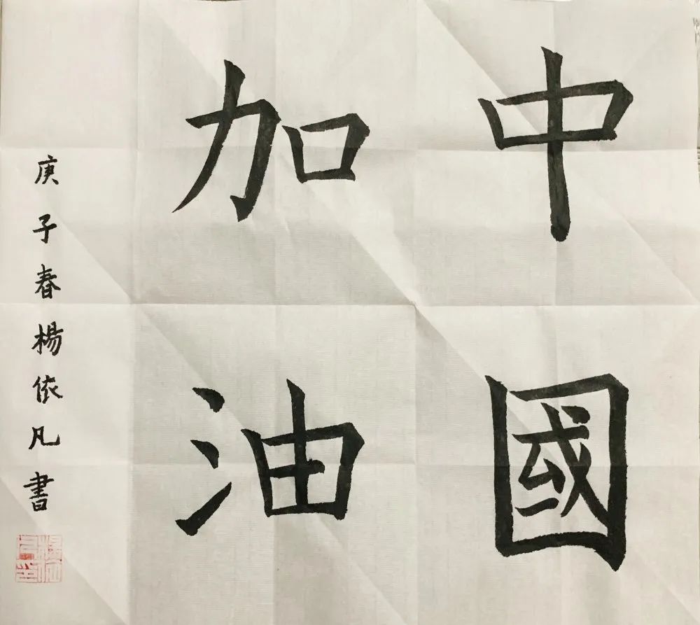 我和父母一起学习科学防控科技实践探究作品展三