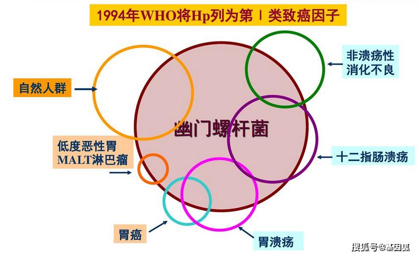 1994年,who将幽门螺杆菌列为第一类致癌因子!图片来自网络