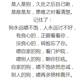 狗比人忠诚的图片带字图片