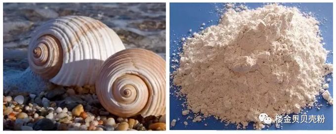 楼金贝 | 贝壳粉独特的环保性能,打破装修局限!