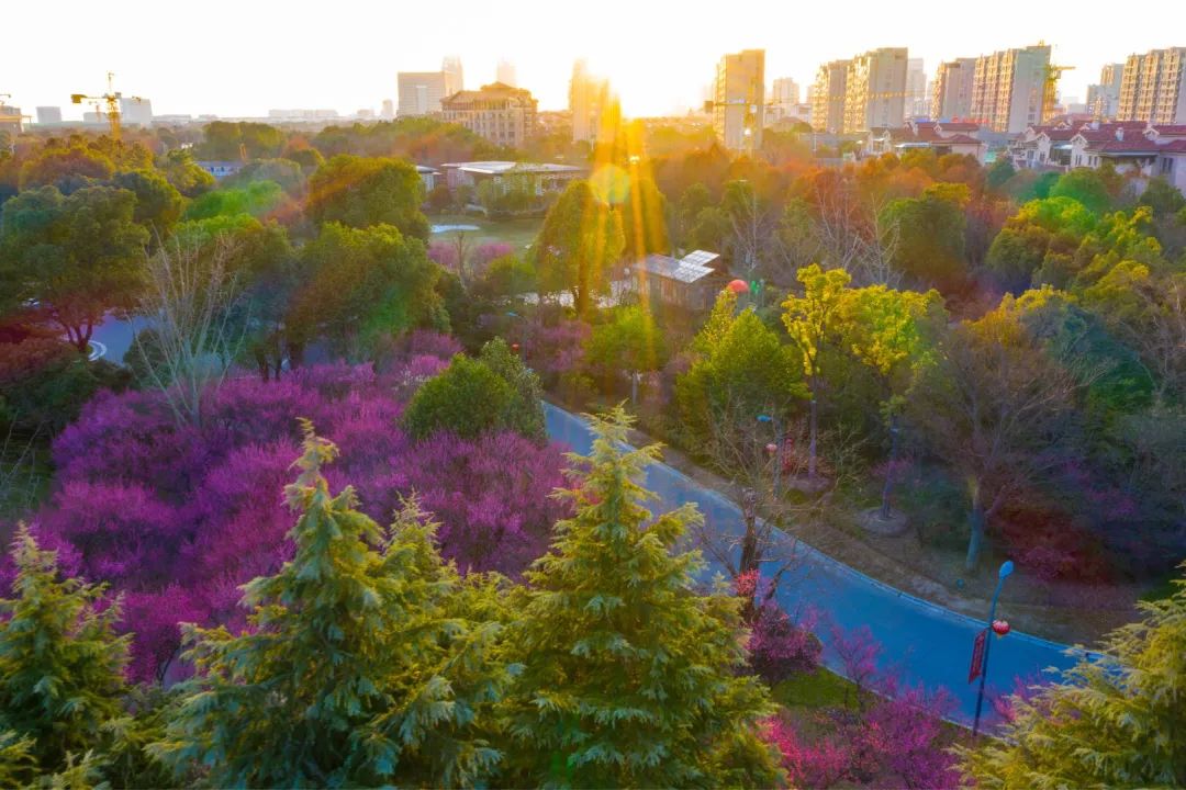 南浔南林公园南浔准备好了!