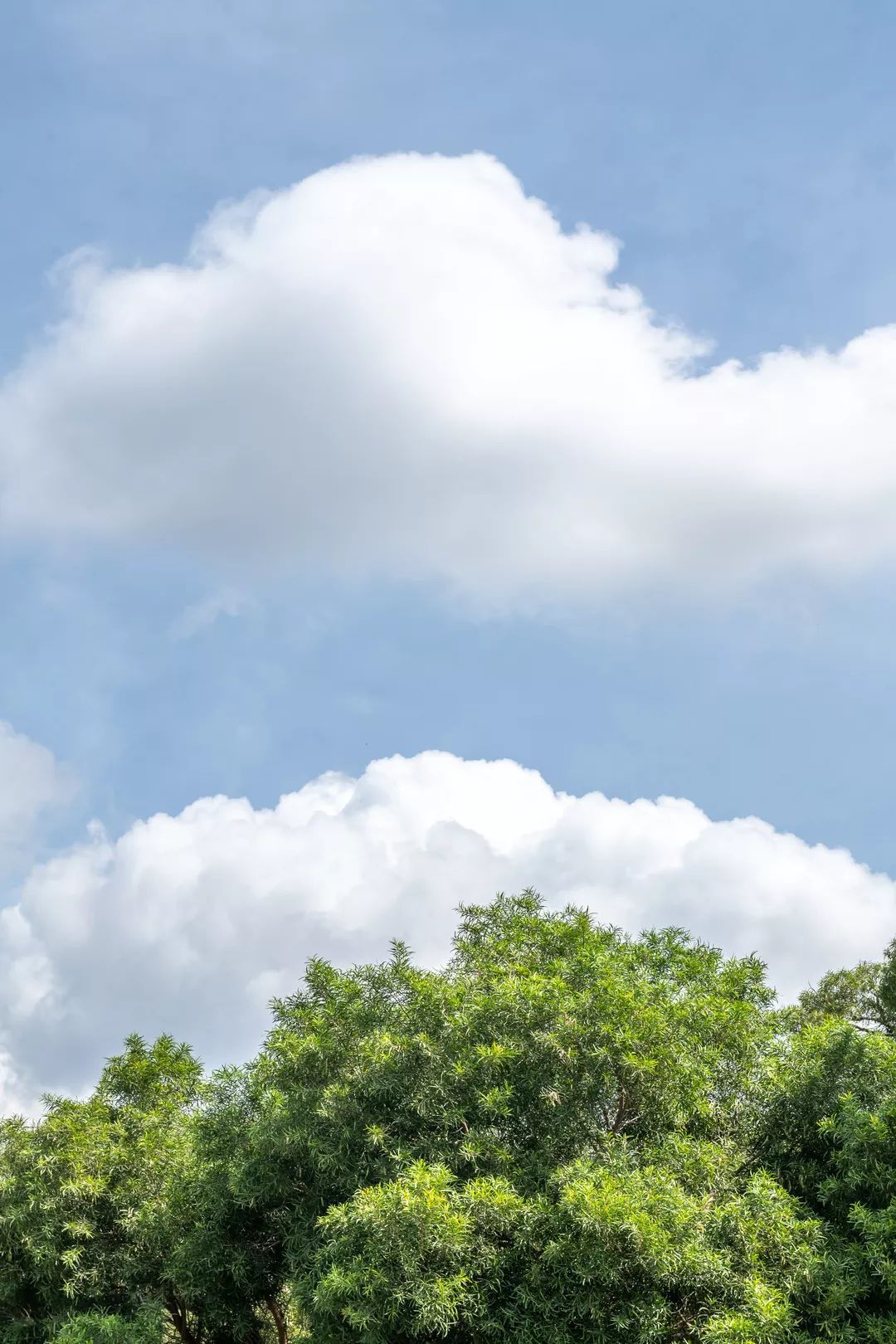 2020开头太魔幻就让山海里时代的颜色治愈你