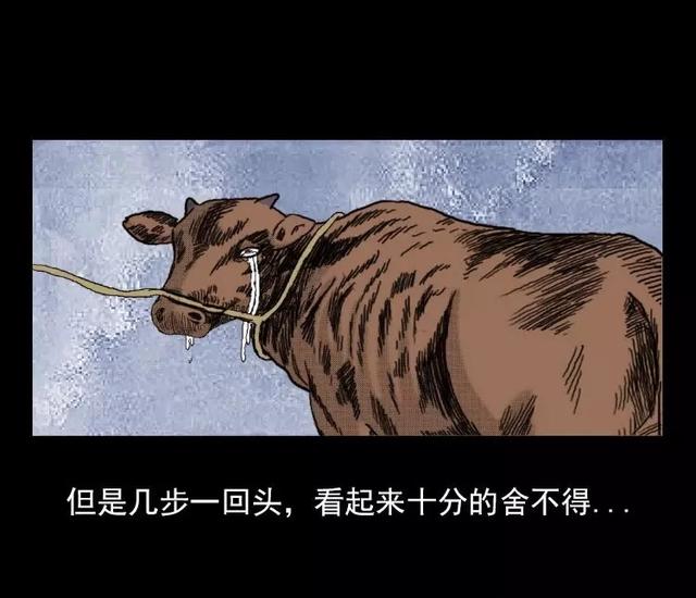 老黄牛漫画泪目