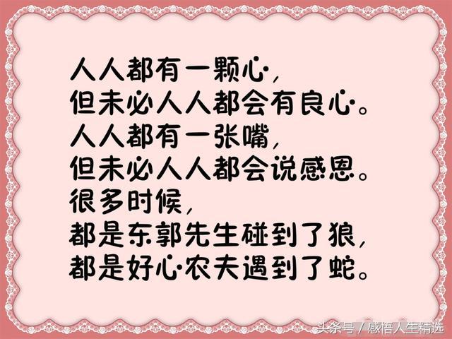 良心多少钱一斤