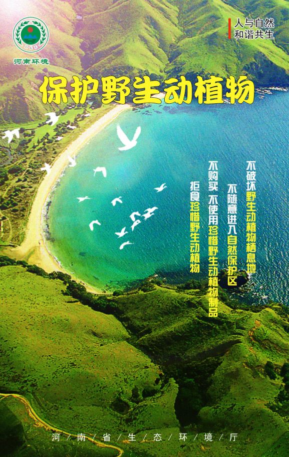 公民十条|呵护自然生态 保护野生动植物_家园