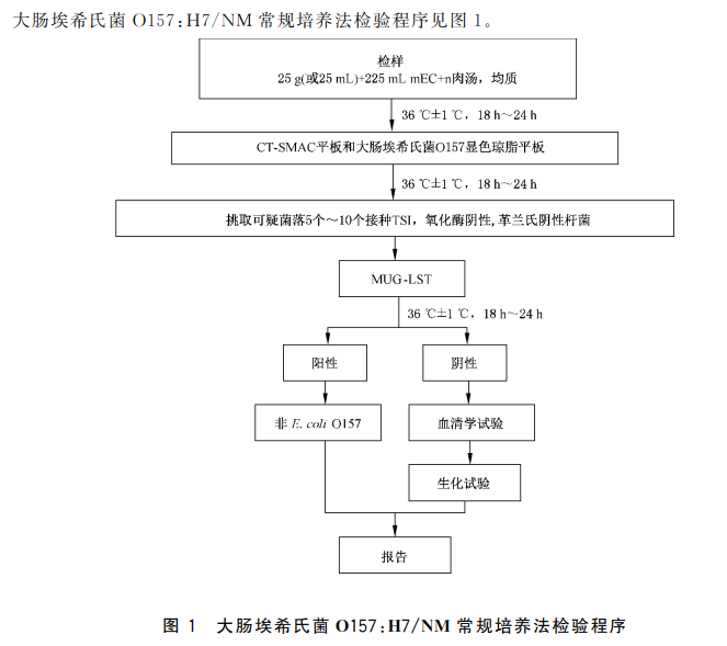 教你了解大肠杆菌o157h7的传统检测方法