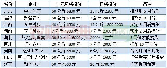 二元母豬最高8000元一頭,仔豬2300元一頭,敢不敢買?_價格