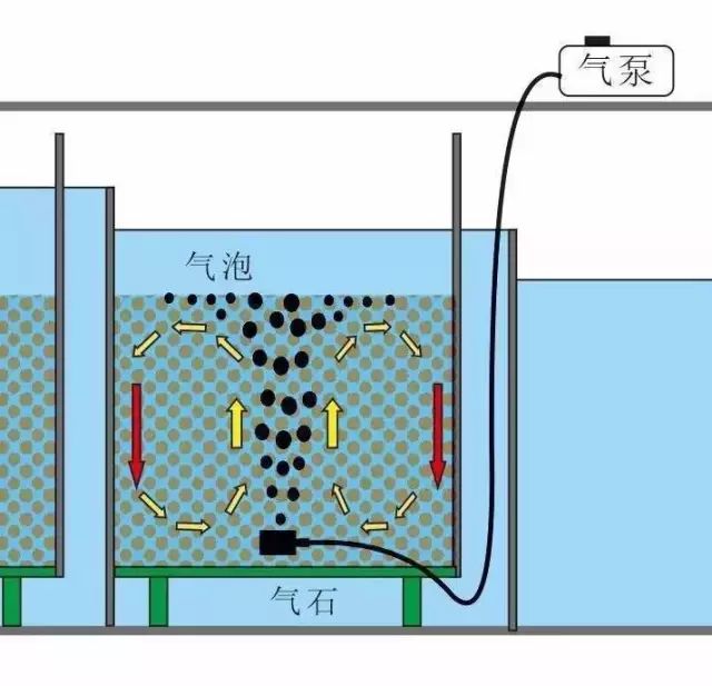 教您三个小技巧鱼缸过滤效果提升50下