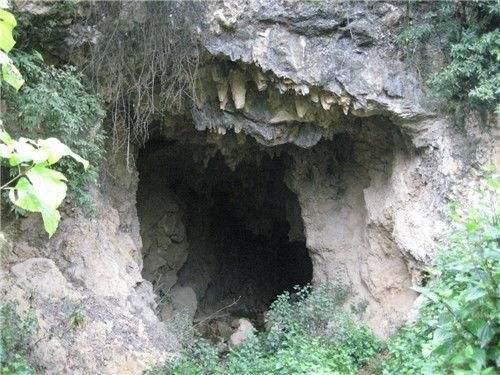 四川某地万蛇窟洞况复杂令人咋舌