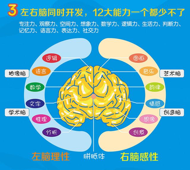 思维能力决定孩子成绩5个锻炼思维能力的小游戏在家就能玩