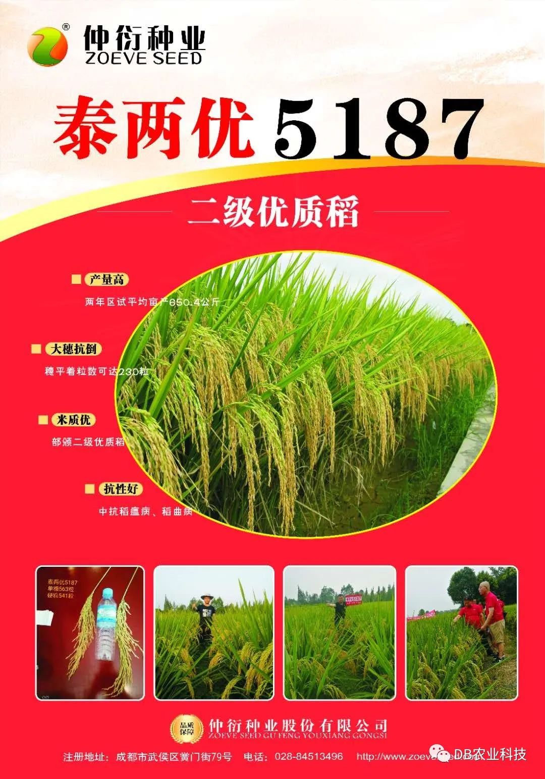 喜从天降粮食涨价已定未来五年粮食价格会翻倍吗