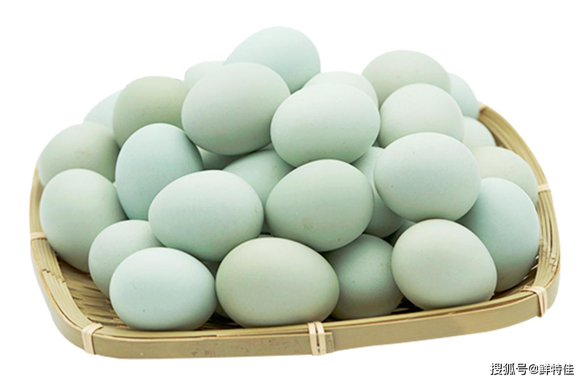 专家们在对绿壳鸡蛋进行鉴定的时候发现,绿壳鸡蛋蛋黄较大且颜色为橘