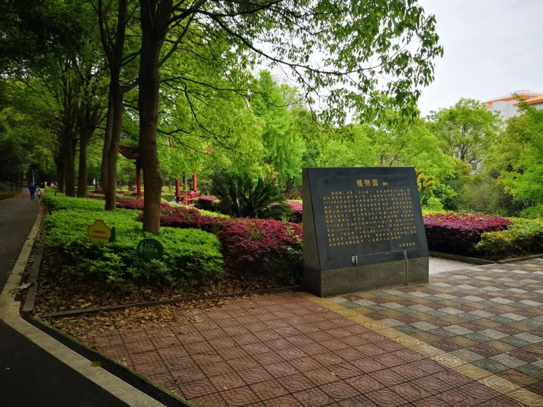 图/荆州日报石首南岳山为省级森林公园,位于石首市城区.