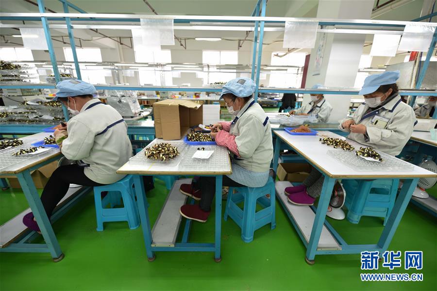 贵州丹寨扶贫工厂复工忙