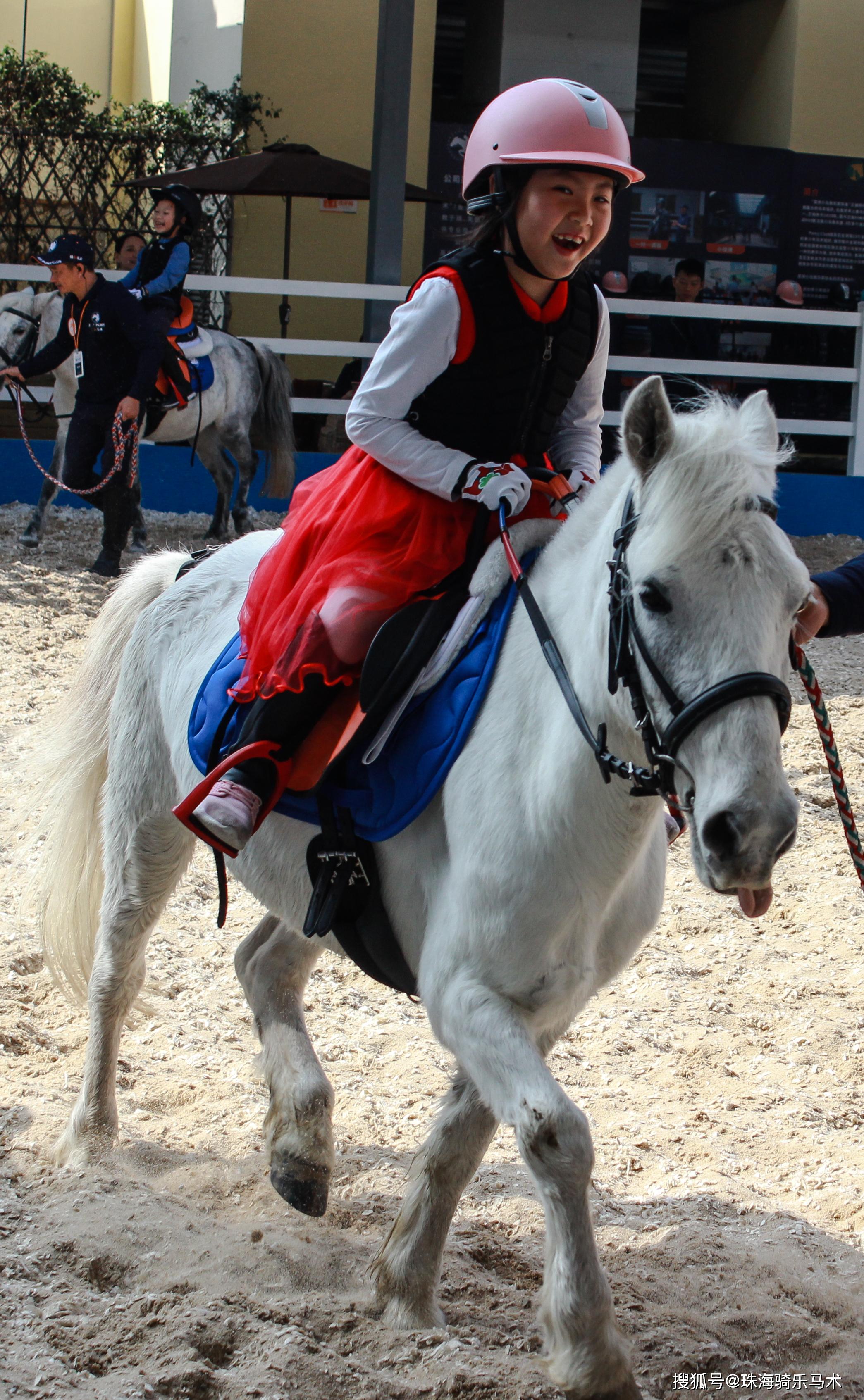 学习马术请到骑乐马术来