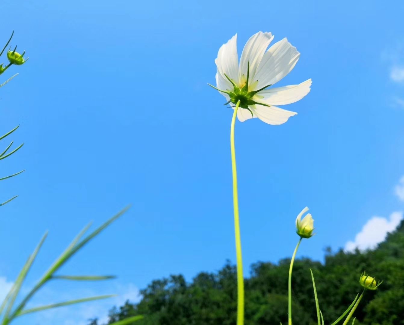 外表虽然高冷内心却渴望爱情温暖的三大星座女