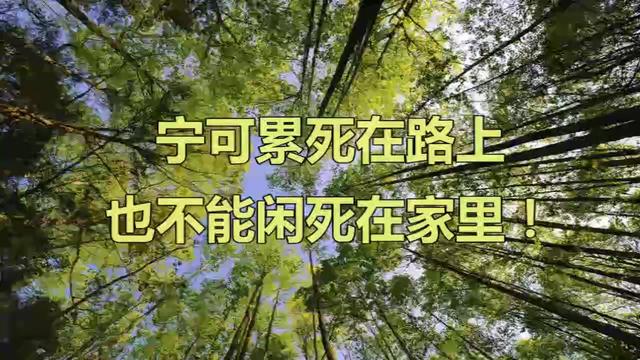 宁可累死在路上也不能闲死在家里