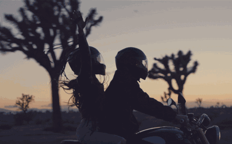 452_281gif 动态图 动图