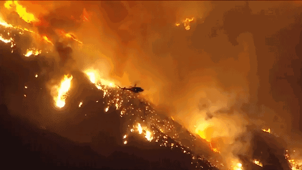 澳大利亚山火持续近五个月,1120万公顷森林毁之一旦