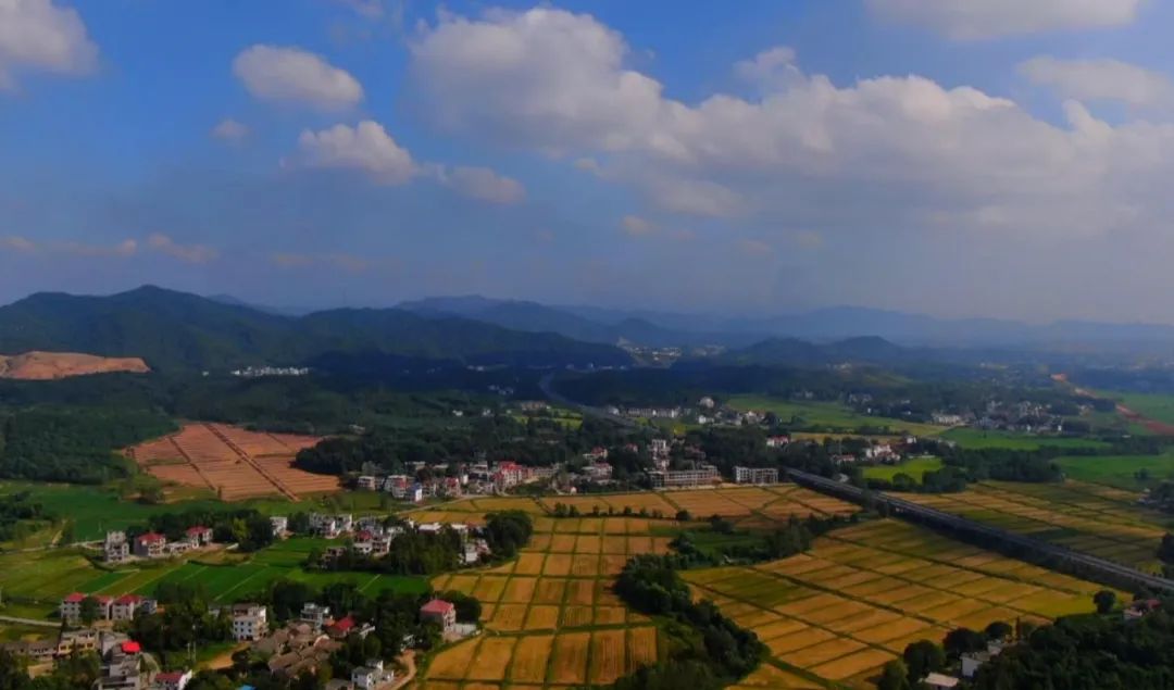 喜报万载11个村荣获国家森林乡村称号