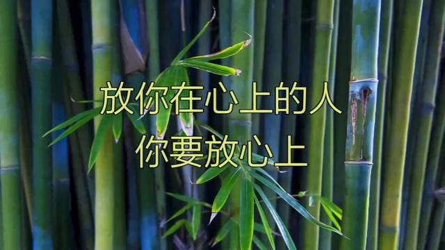 放你在心上的人你要放心上