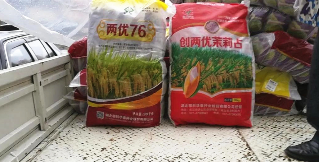湖北鄂科华泰抗疫保春耕首批稻种安全送达松滋