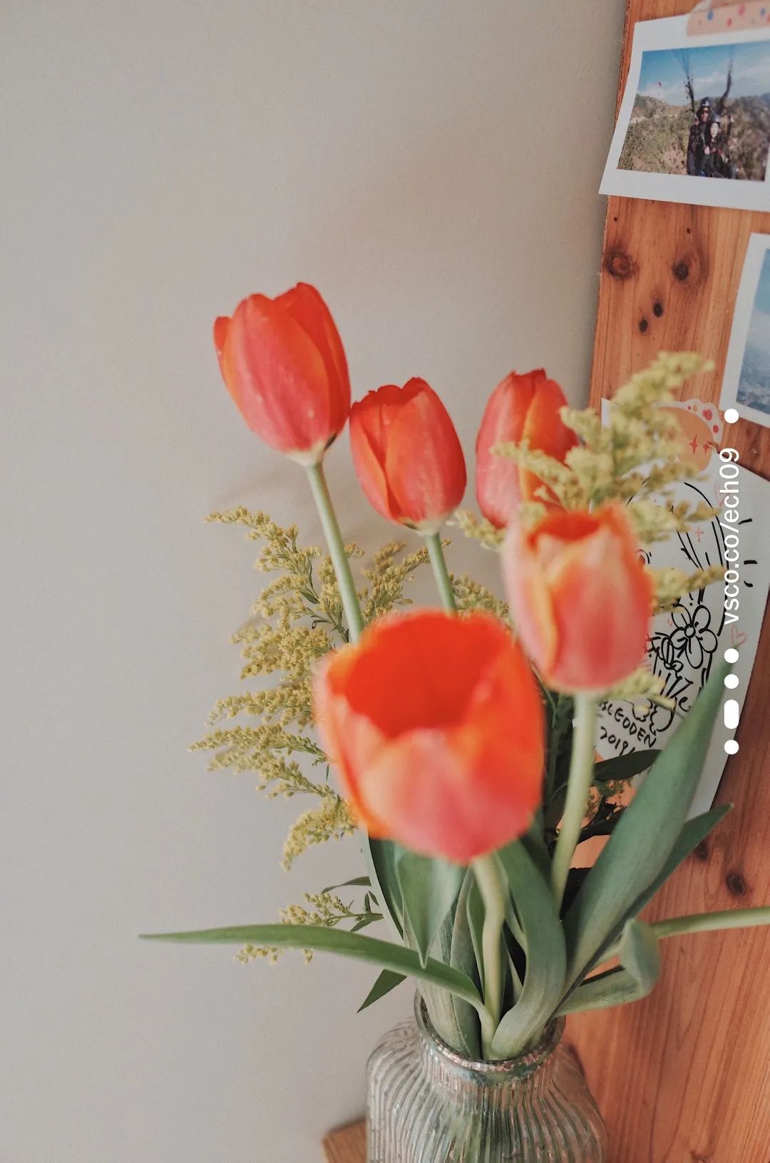 大脸头二月月结 | 平凡琐碎的肥宅快乐