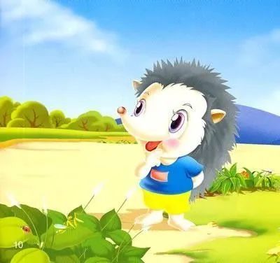 看看谁是创作小能手~_刺猬