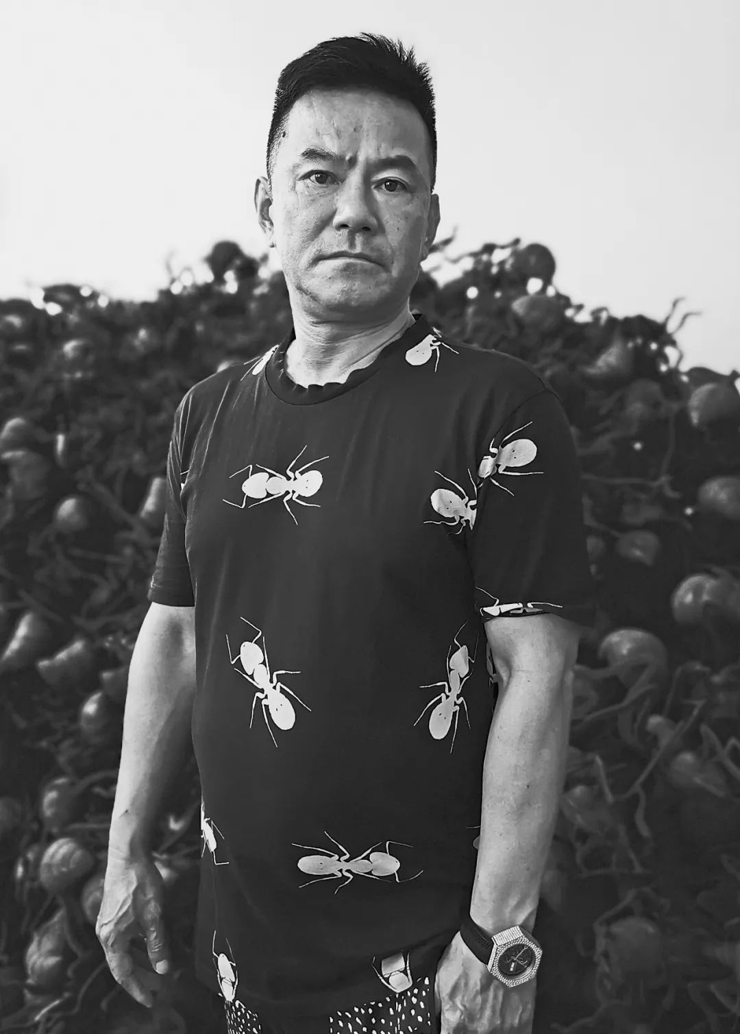 展讯陈志光龙蚁变个展德国波恩当代艺术馆