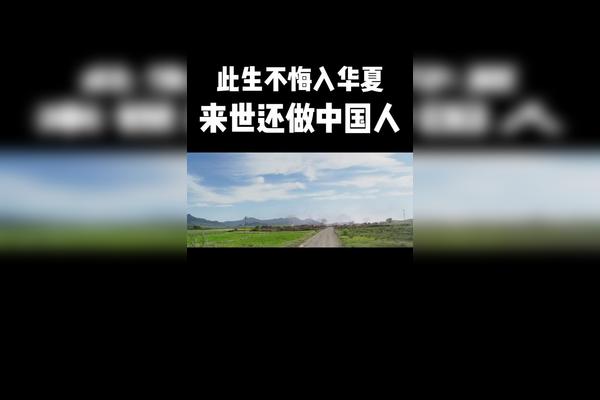 此生無悔入華夏來世還做中國人視頻剪輯duo小助手