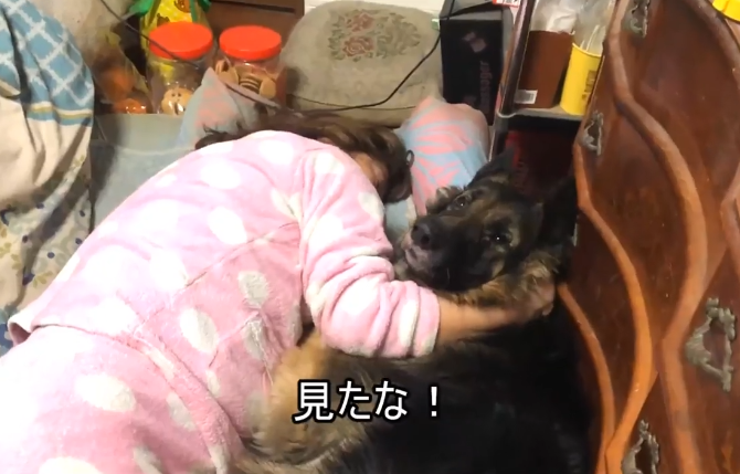 德牧都已经5岁了,还要女主人抱着睡,结果被它"得逞"了_狗狗
