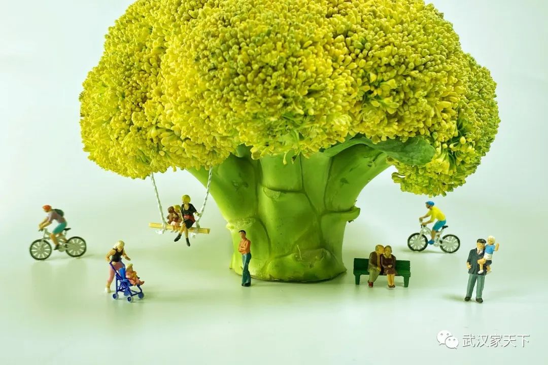 封城封路不封心武汉小妹用手机创意了一组唯美小人国摄影作品