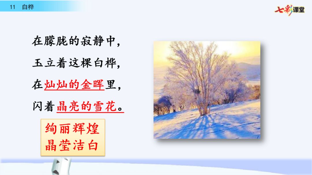 統編版語文四年級下冊第11課《白樺》微課課文朗讀生字視頻