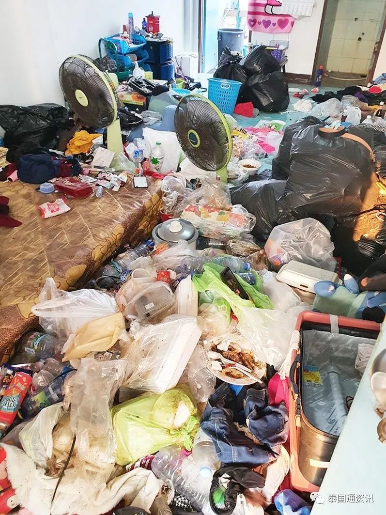 大开眼界!满地垃圾,恶臭熏天,泰国一出租房变垃圾场