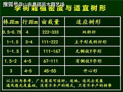 平地按行距3米,株距3米,每9苗一棵,每亩栽植75棵.2.