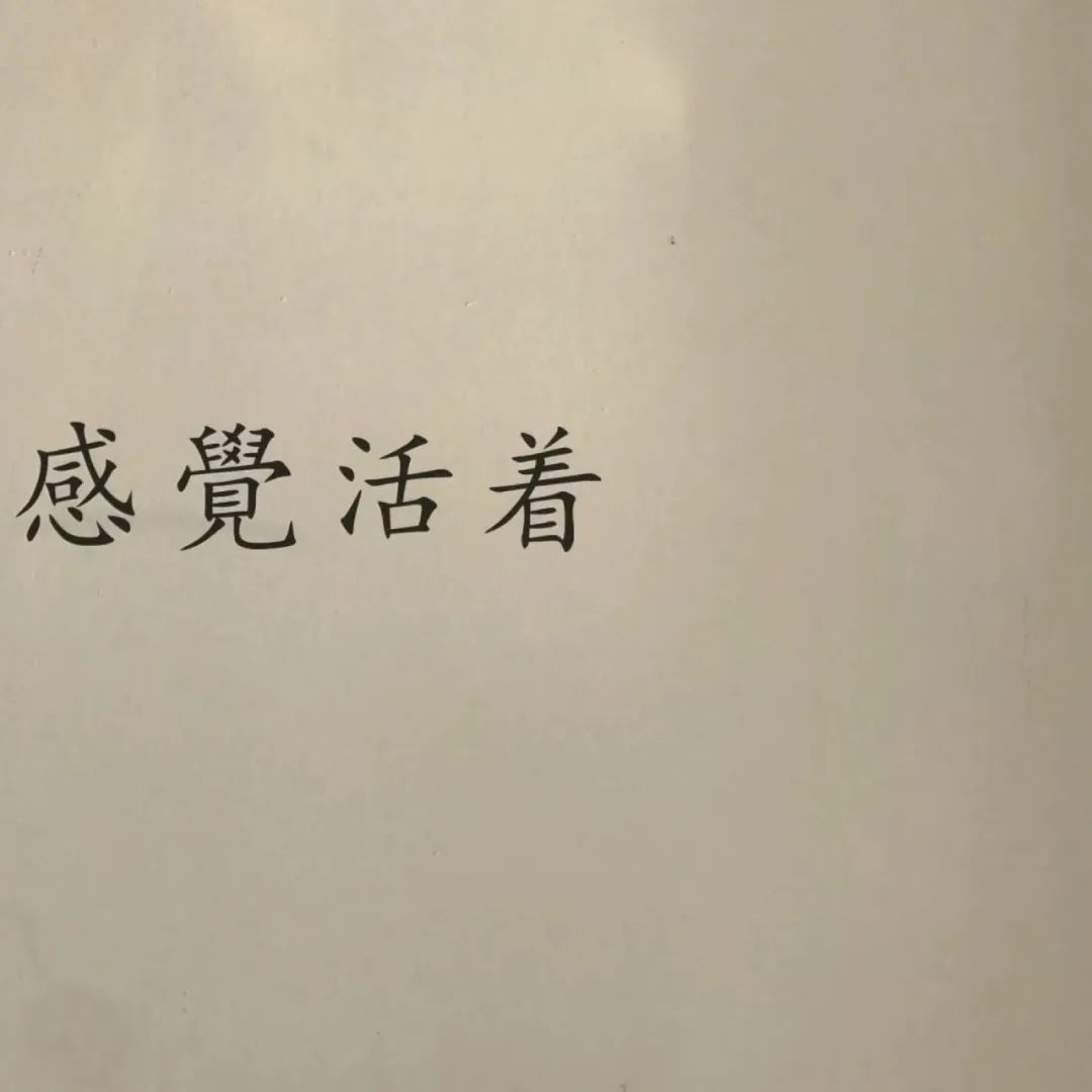 微信背景圖丨抖音文字封面圖