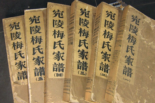 宣城梅氏家族谱系的建构与认同——家族,名人,官府及话语权的共同影响