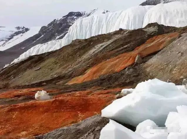 南极冰层突然变成血红色网友纷纷担忧这是灾难前兆