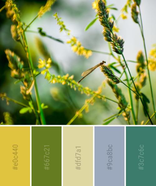 春意盎然的色彩搭配方案春天到了