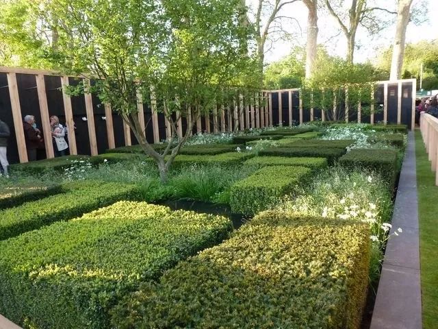 谈谈植物设计与空间氛围营造之间的关系_绿篱