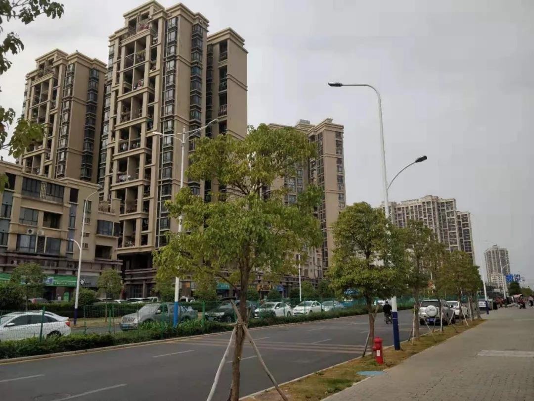 汇智百盛家园这种楼盘开盘去化8成深圳楼市真的该吃退烧药了