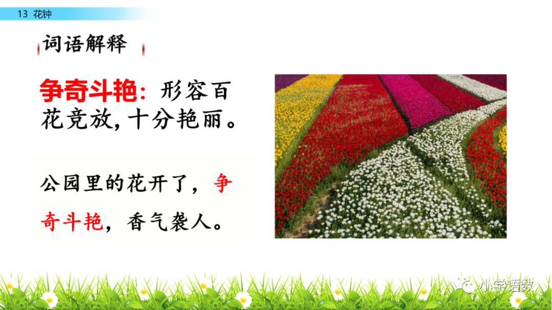 展开( ) 绽开( ) 展示( )四,重点段落品析鲜花朵朵,争奇斗艳,芬芳