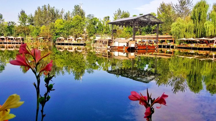 大忙人房车生活384醉南亚森林玛歌庄园