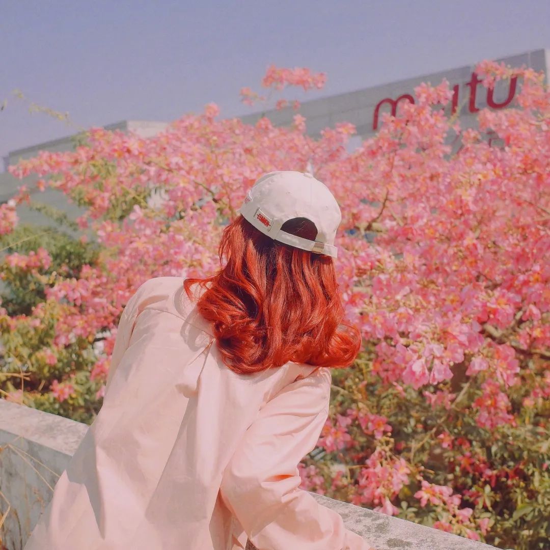 三款网红ins风滤镜配方来了!温柔的仙女色调一秒俘获你的心