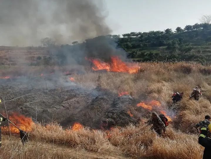 义乌:春耕到了,野外用火请小心!10天24起,太可怕!