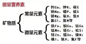 01%的稱為常量元素礦物質在飼料和動物體內的含量相差很