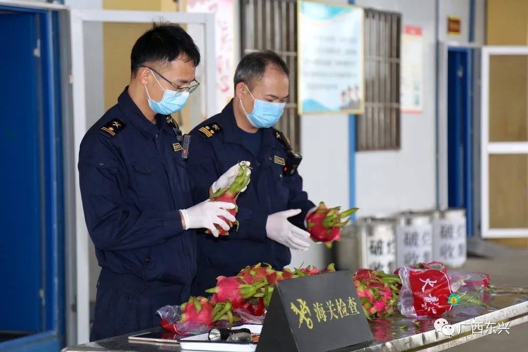 有口福了东兴口岸迎来节后首批进口水果