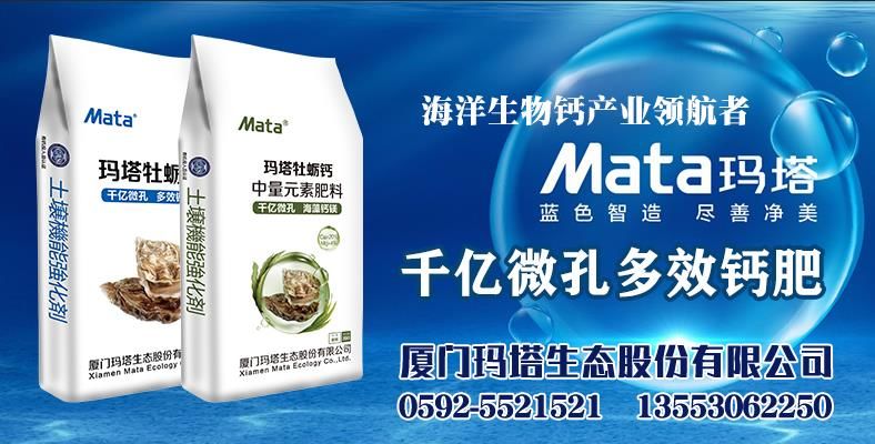 海洋贝类极多,为什么牡蛎能够成为优质的钙源呢?_玛塔