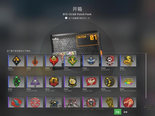 csgo胸章局内效果图片