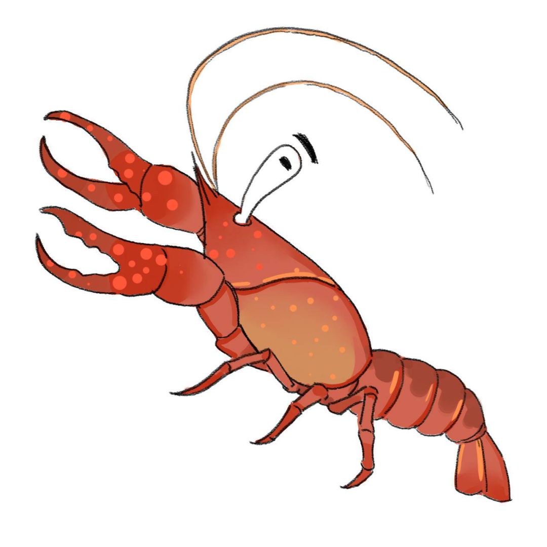 我们能为渔业做些什么